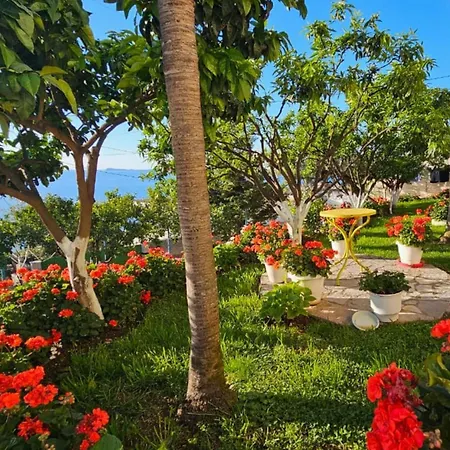 Vila Meminaj With Sea View And Garden *